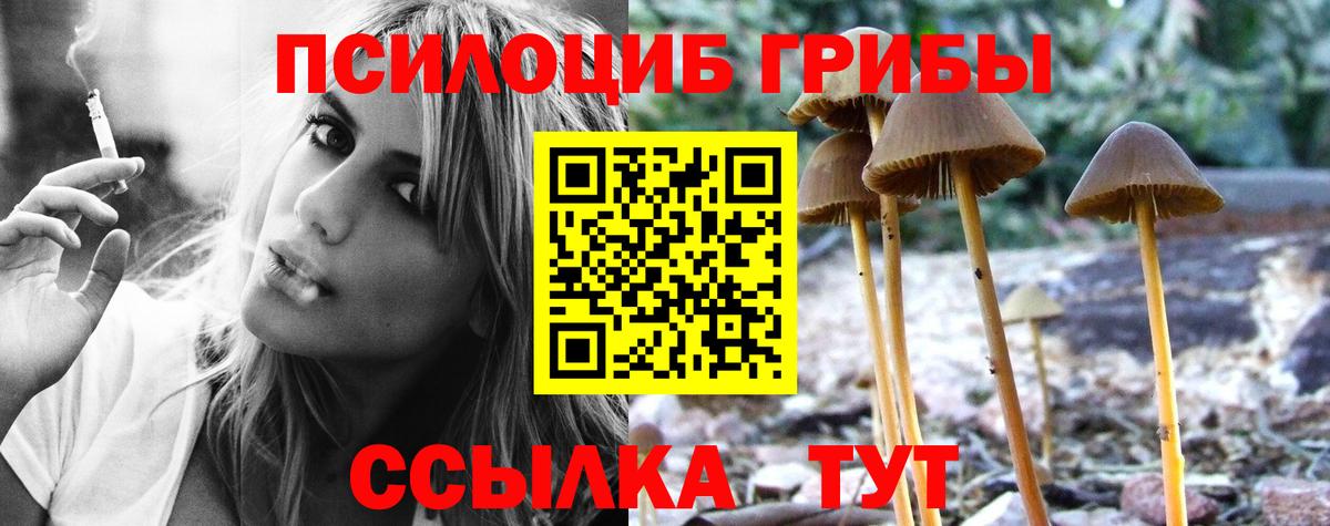 магазин продажи наркотиков  Вход с VPN  Галлюциногенные грибы прущие грибы  Чебоксары  Псилоцибиновые грибы мицелий 